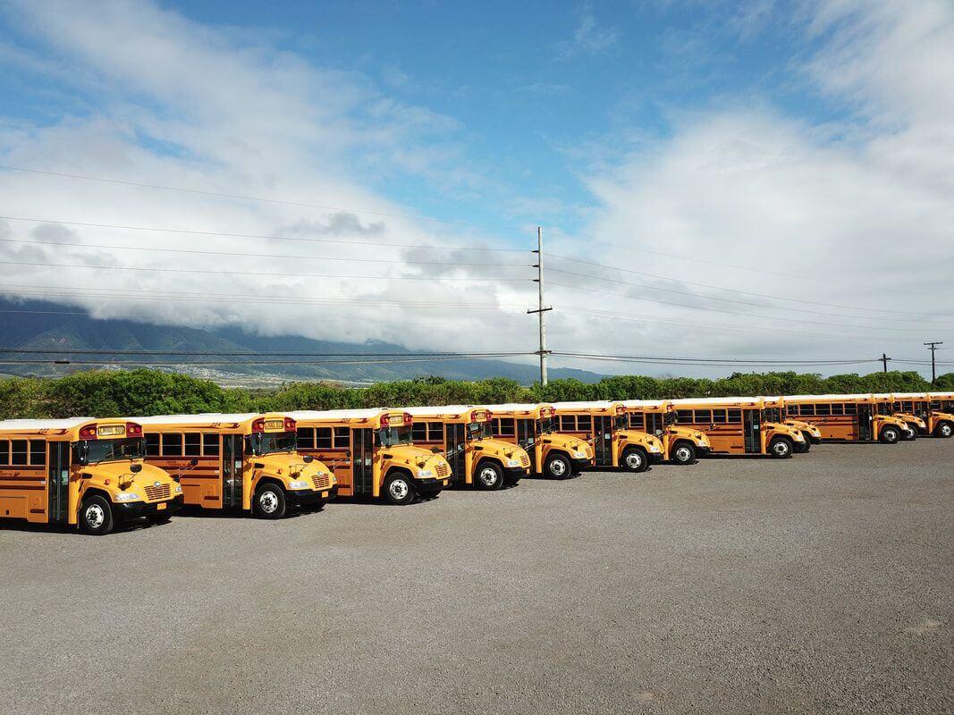Line of school buses